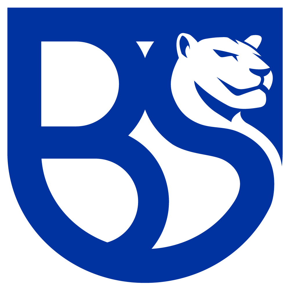 Union Brescia Logo Union Brescia
